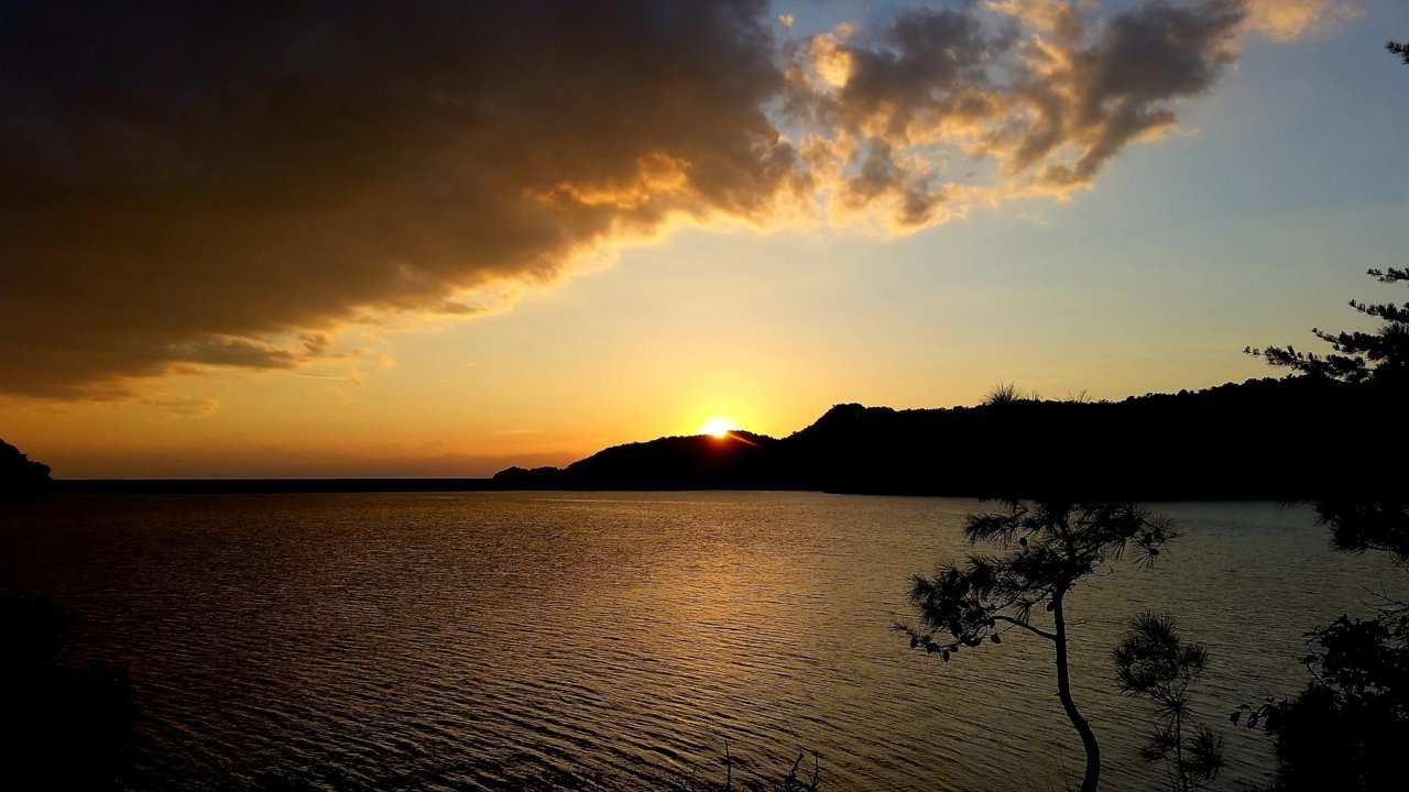 20190713_101208.jpg