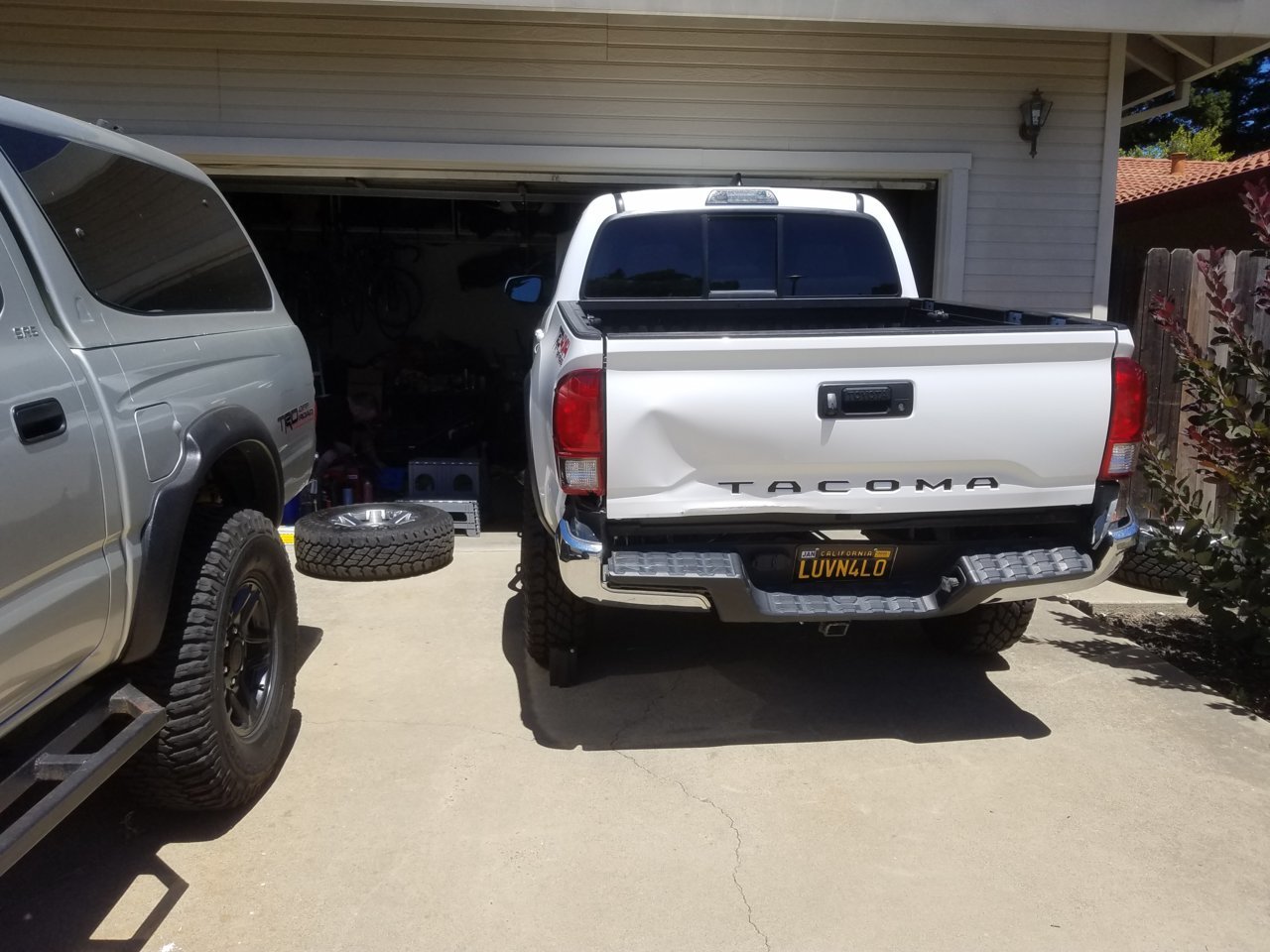 20190713_115447.jpg