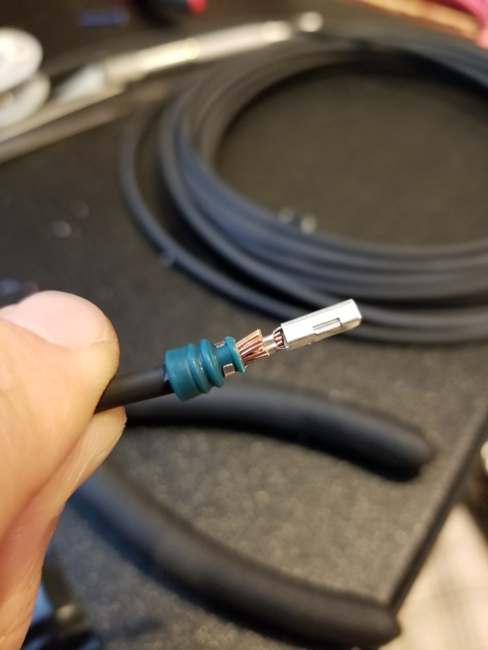 20190713_124713_48902571622_o.jpg