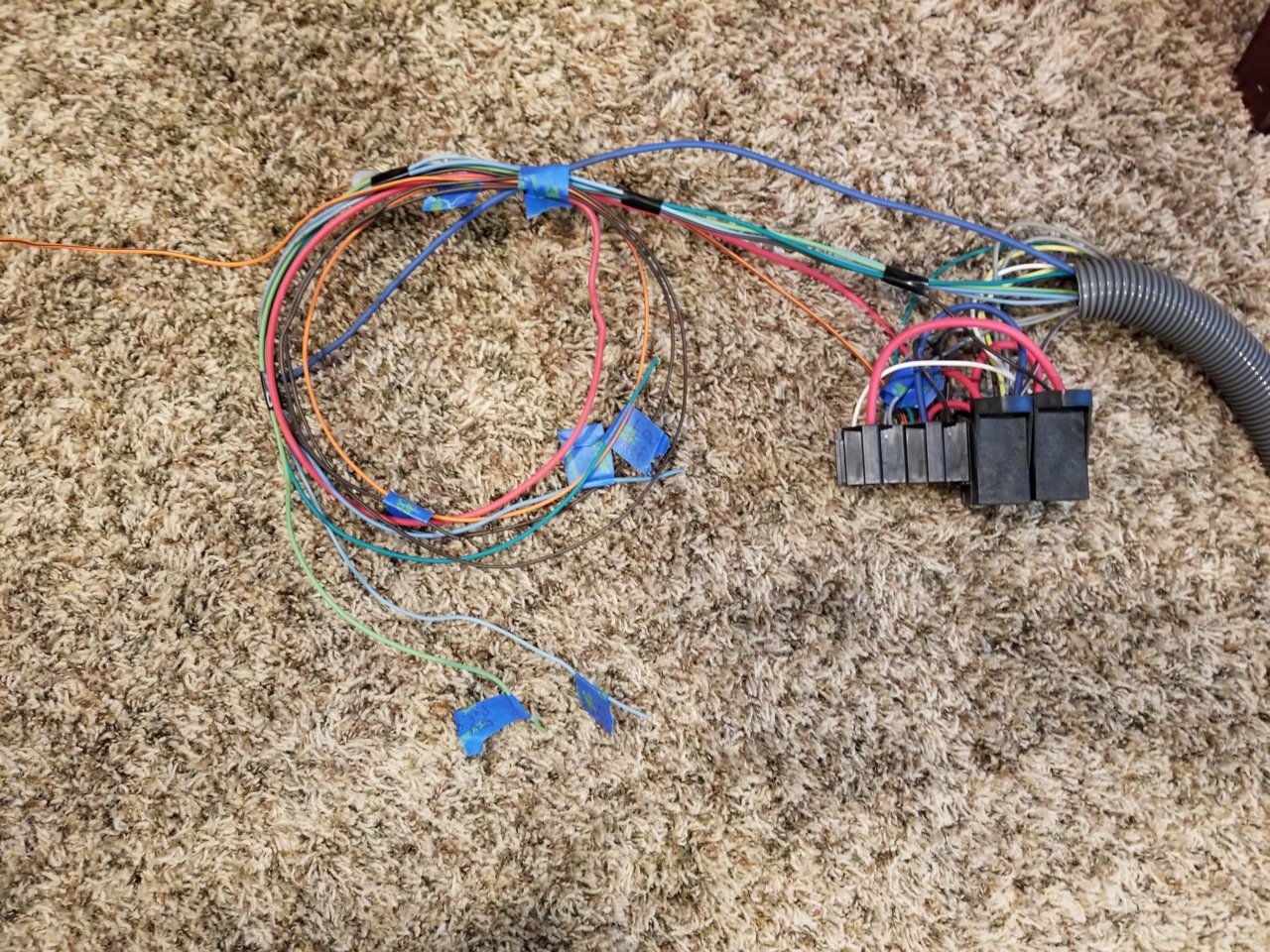 20190713_135554_48902572197_o.jpg