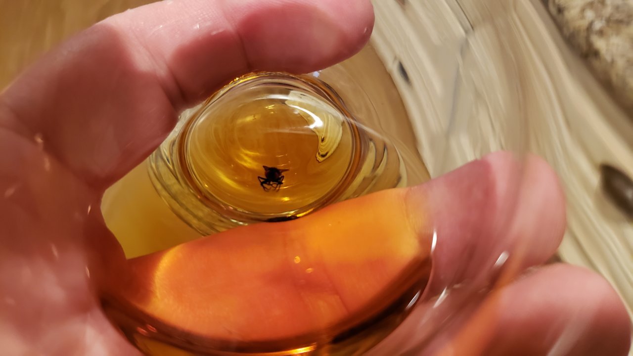 20190713_150240.jpg