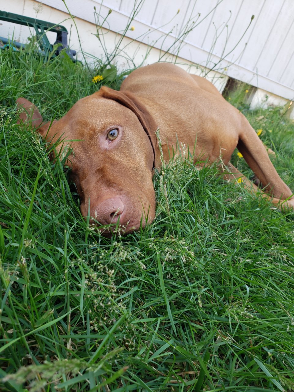 20190713_152931.jpg