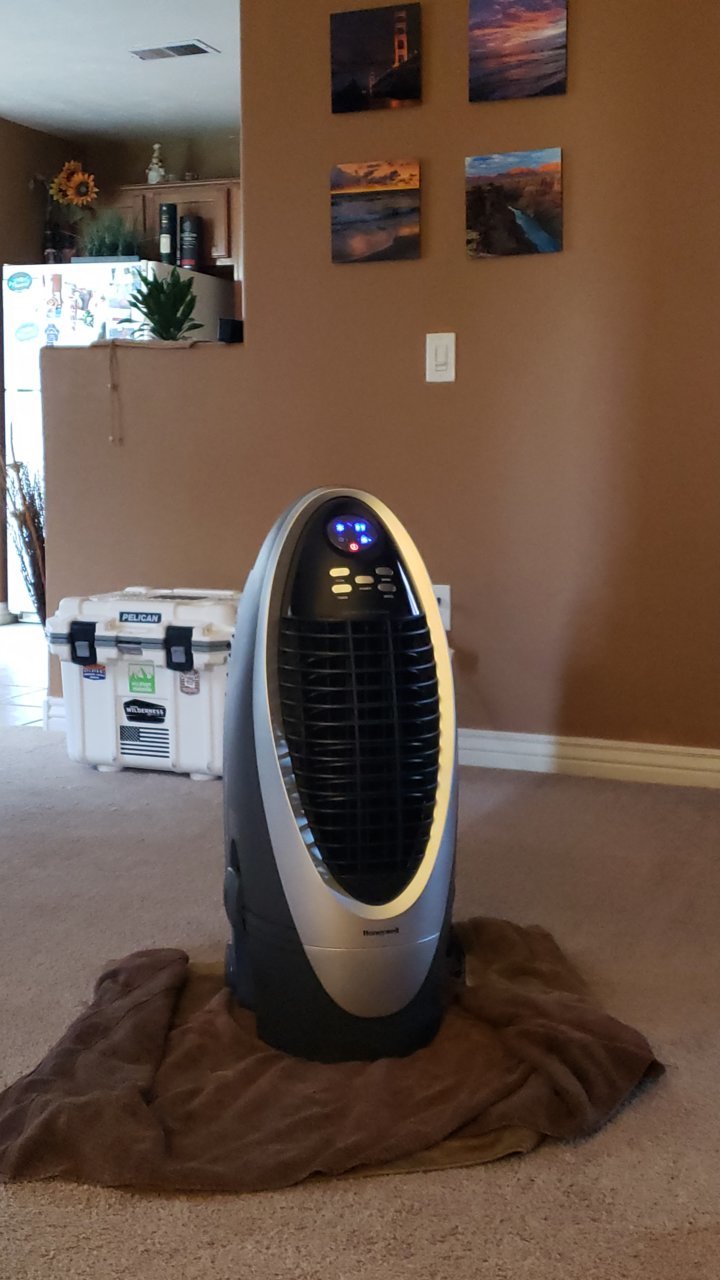 20190713_174631.jpg