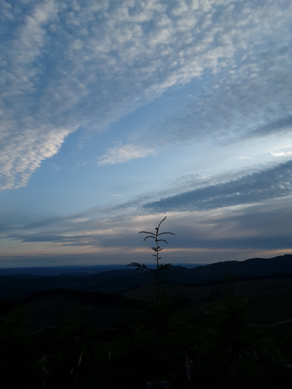 20190713_201836.jpg