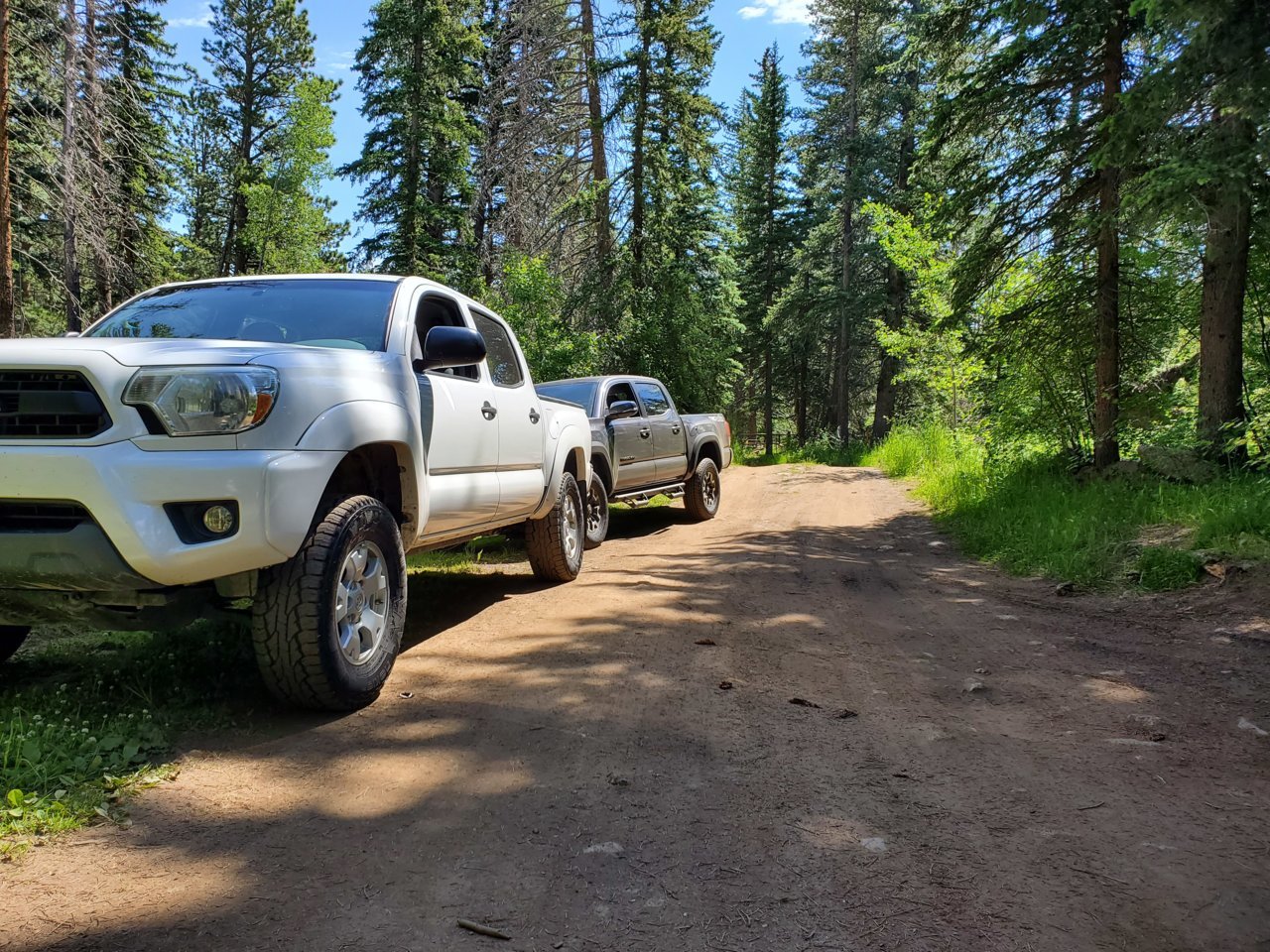 20190714_105058.jpg