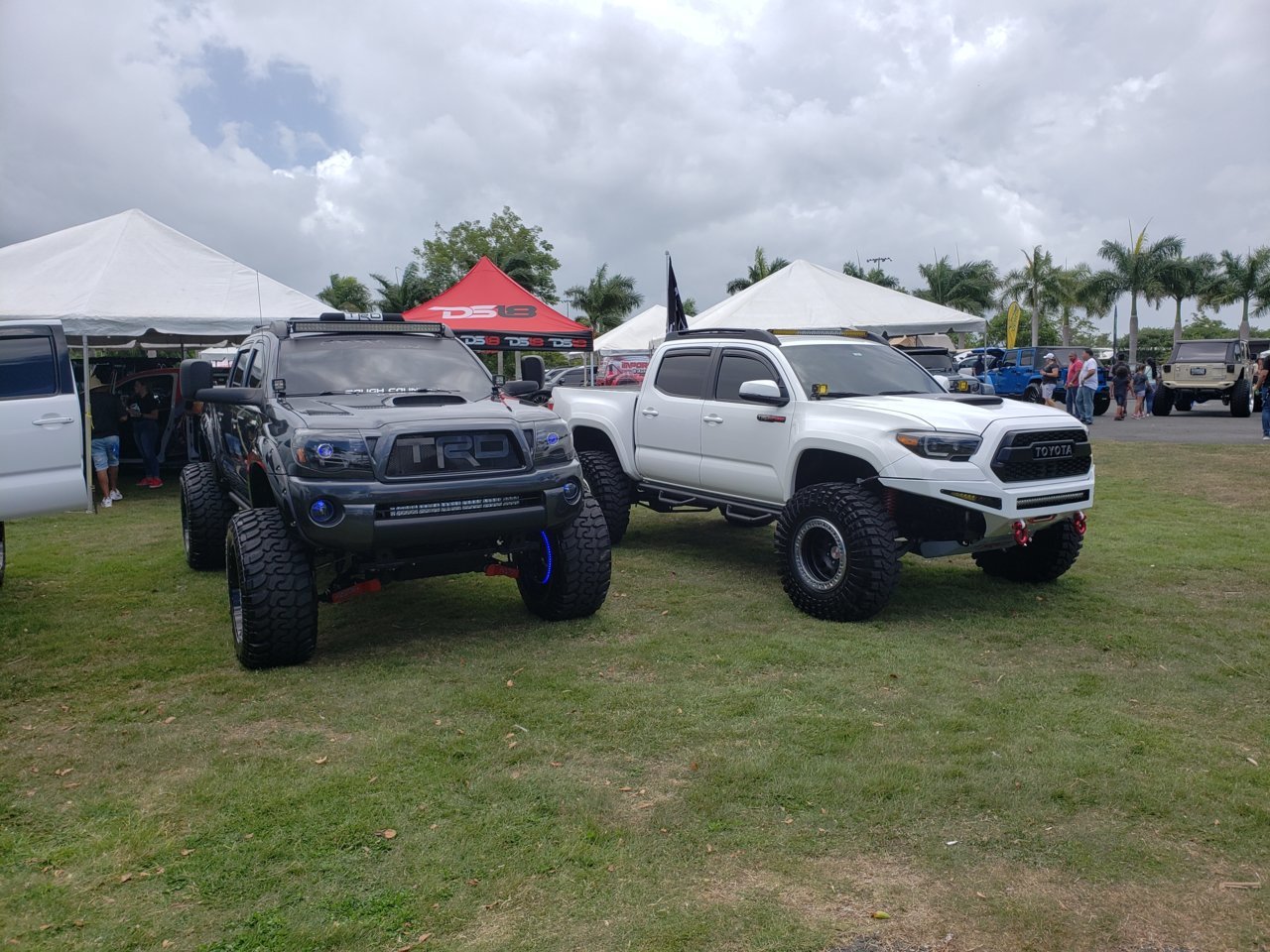 20190714_125445.jpg