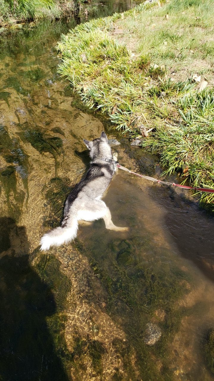 20190714_162921.jpg