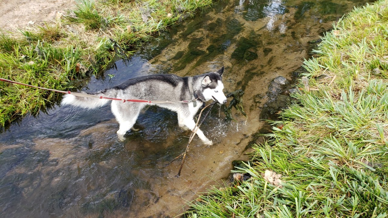 20190714_165932.jpg