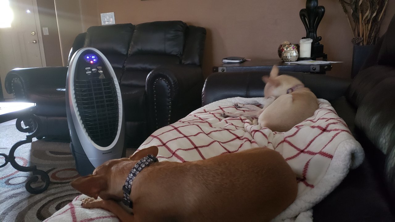 20190714_171258.jpg