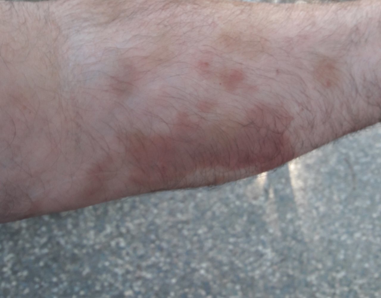 20190714_173633.jpg