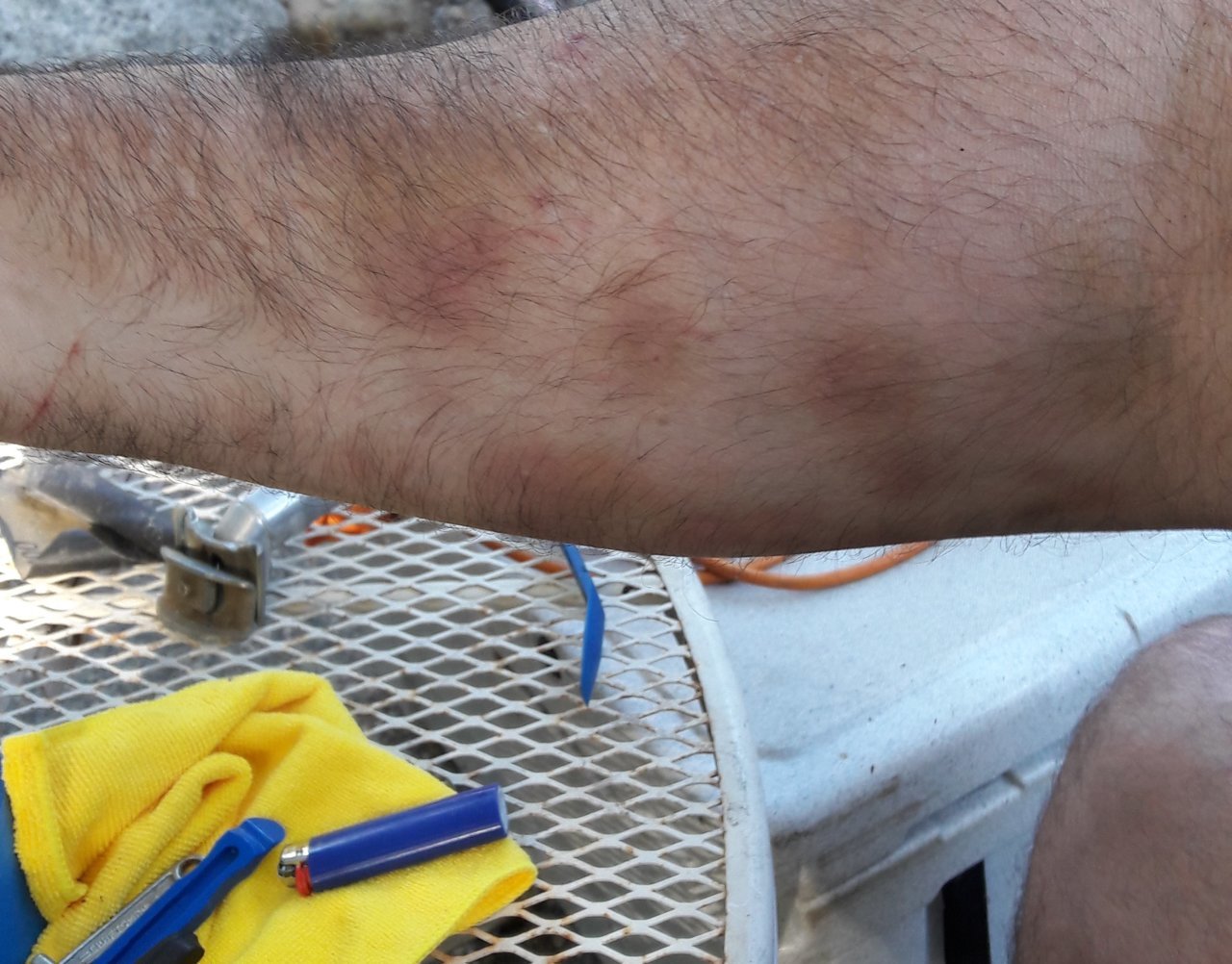 20190714_173654.jpg