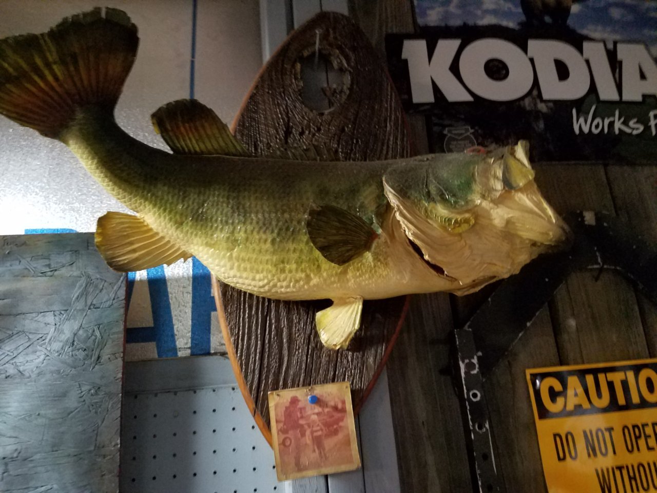 20190714_201523.jpg