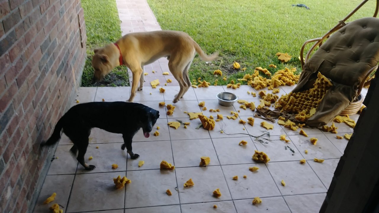 20190715_073304.jpg