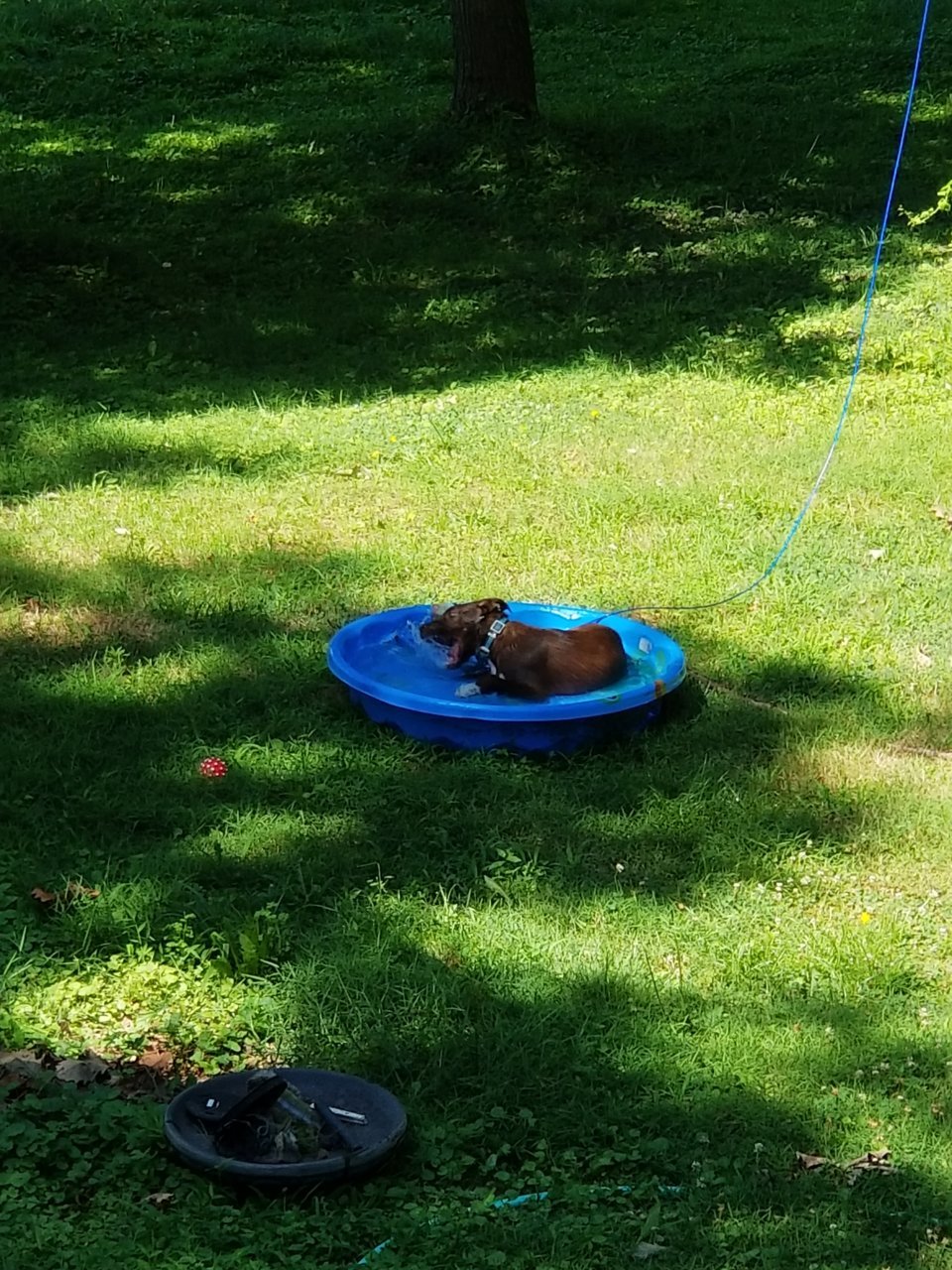20190715_104421.jpg