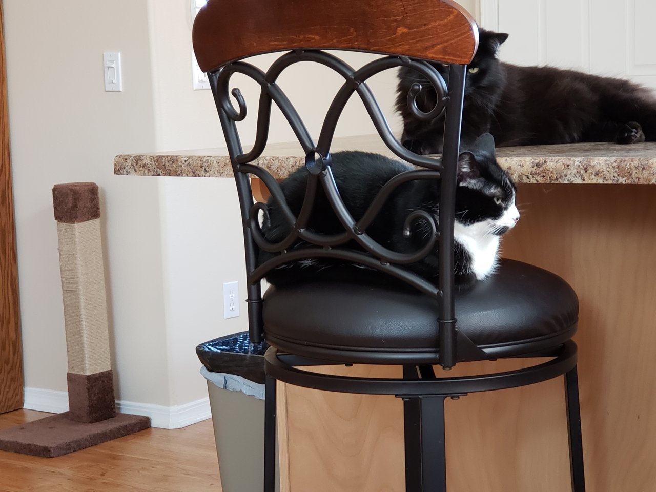 20190715_163256.jpg