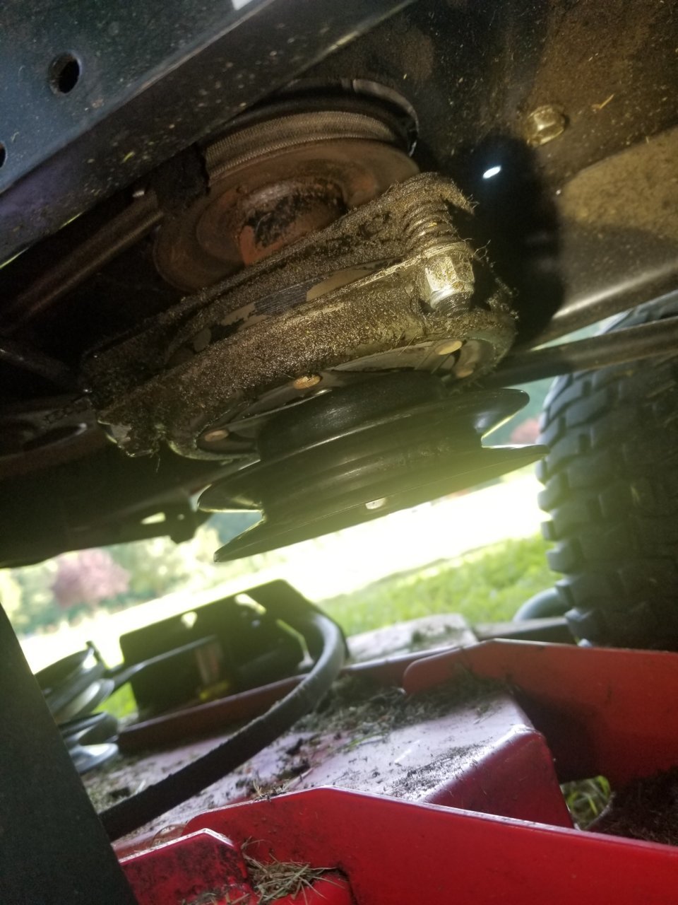 20190715_174135.jpg