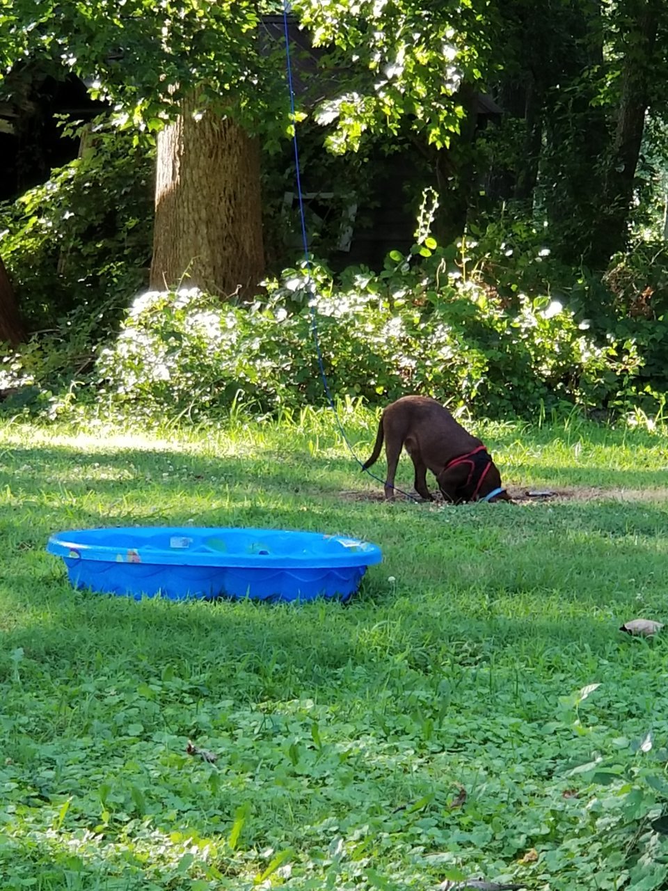 20190715_174414.jpg