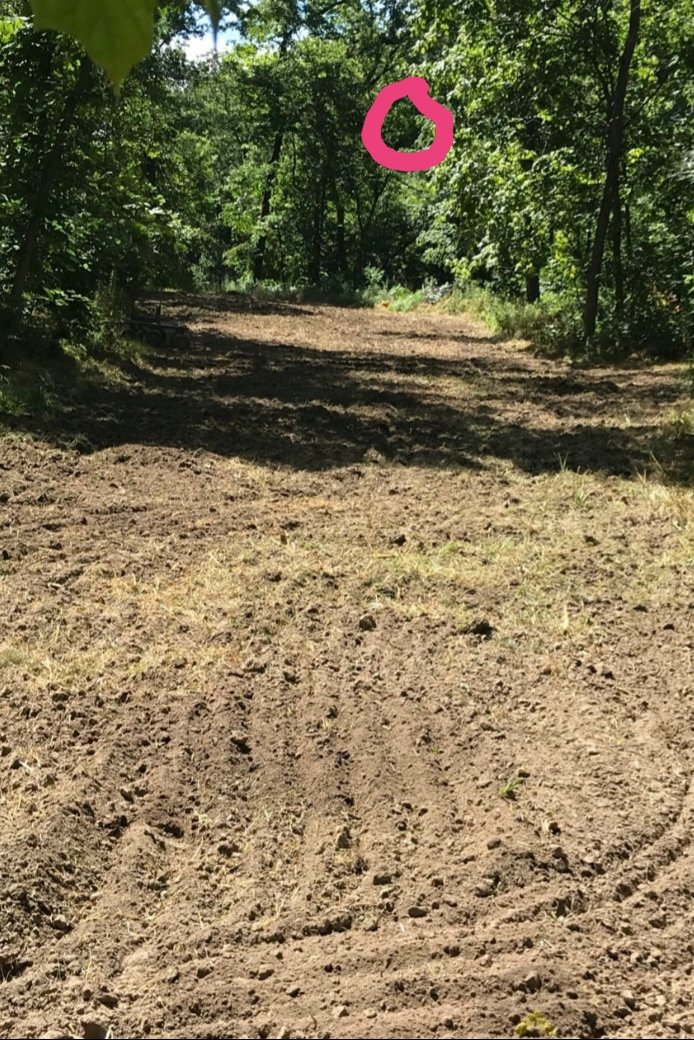 20190715_175212.jpg