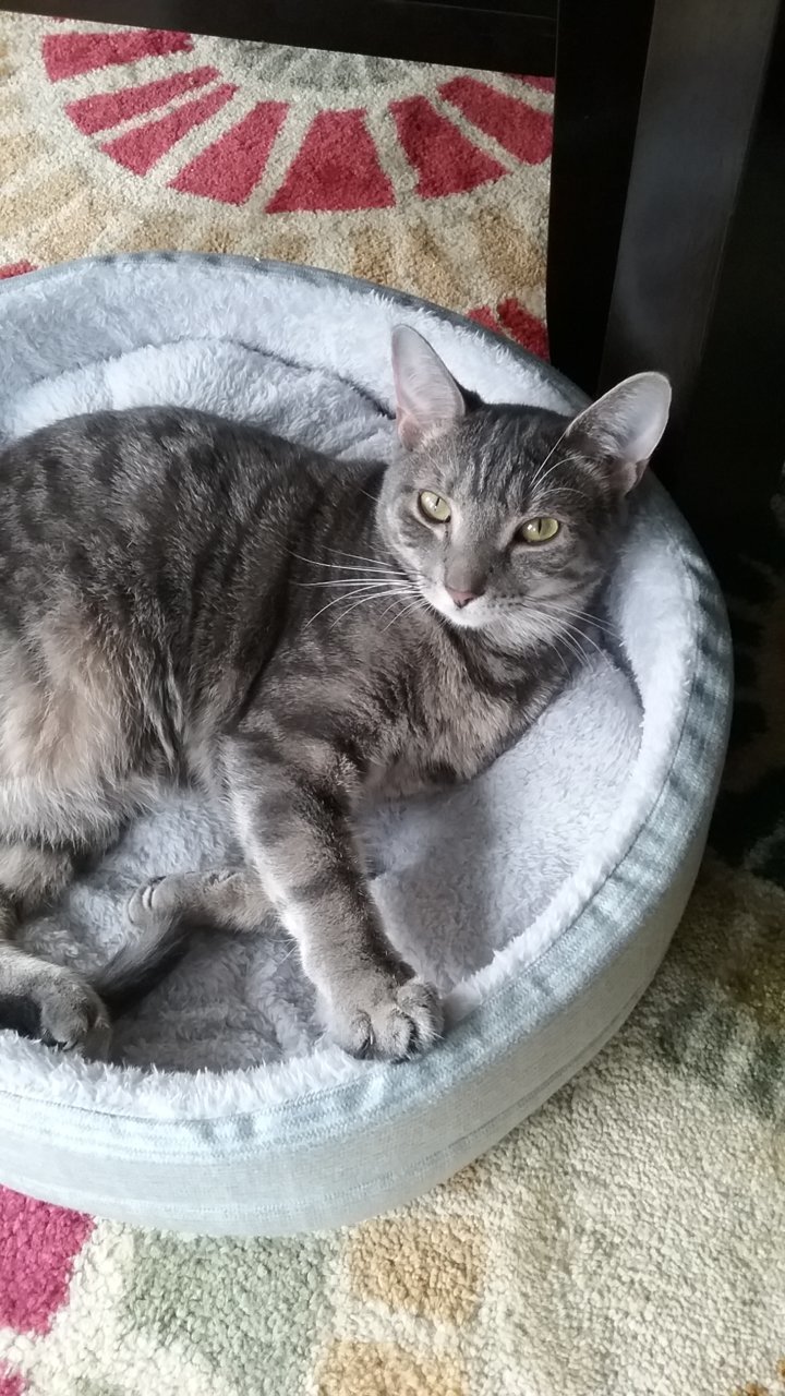 20190715_180836.jpg