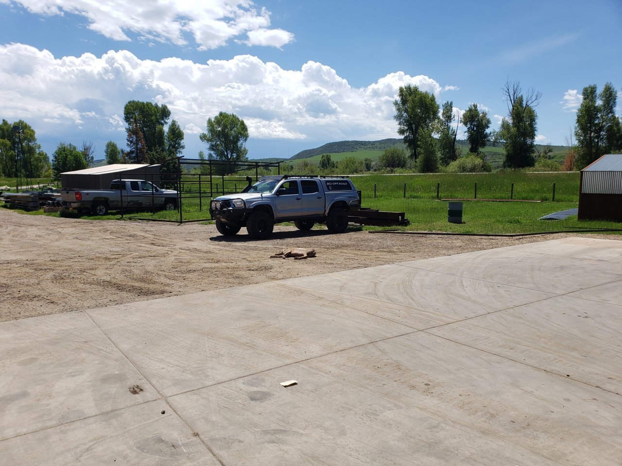 20190716_120848.jpg