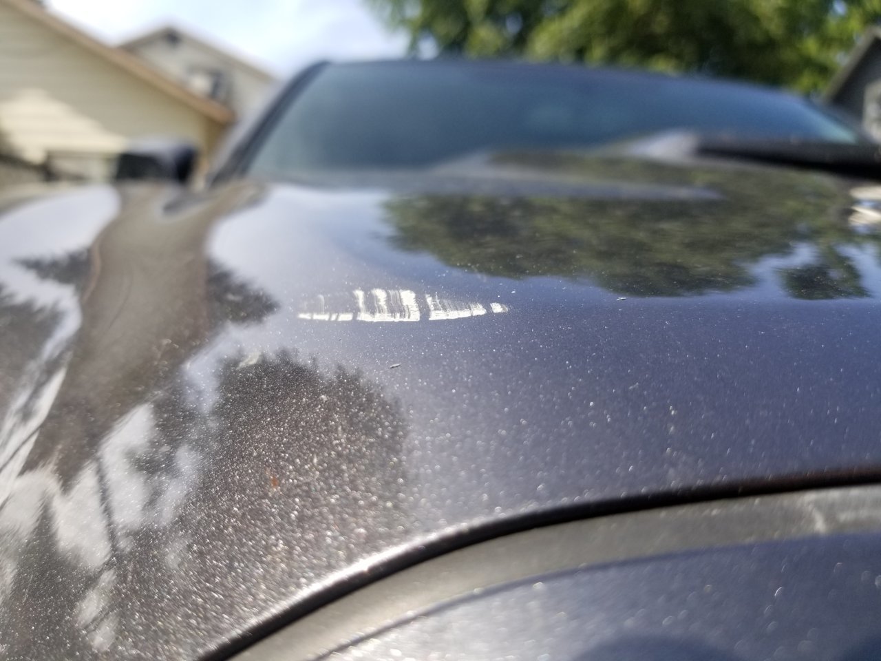 20190716_162805.jpg