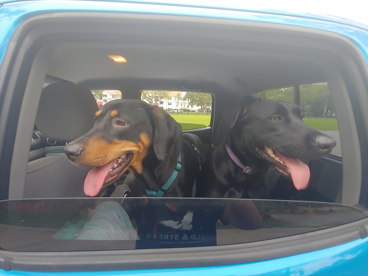 20190716_191537_HDR.jpg