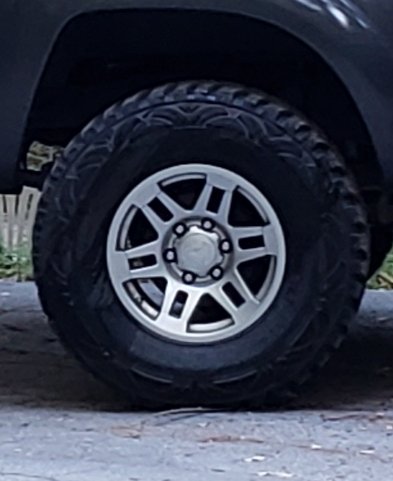 20190717_093459.jpg