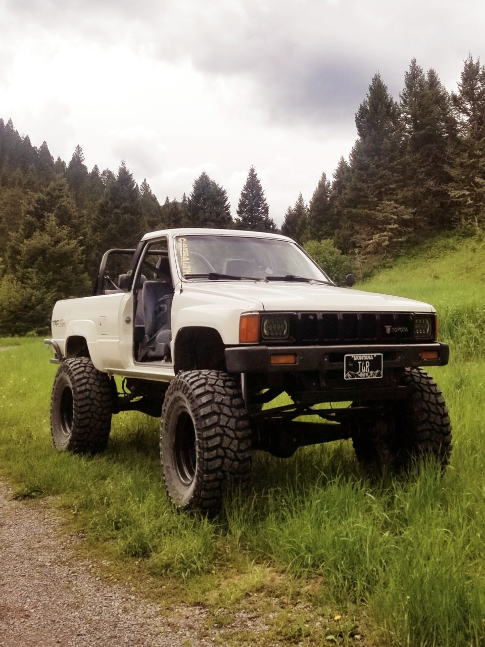 20190717_095957.jpg