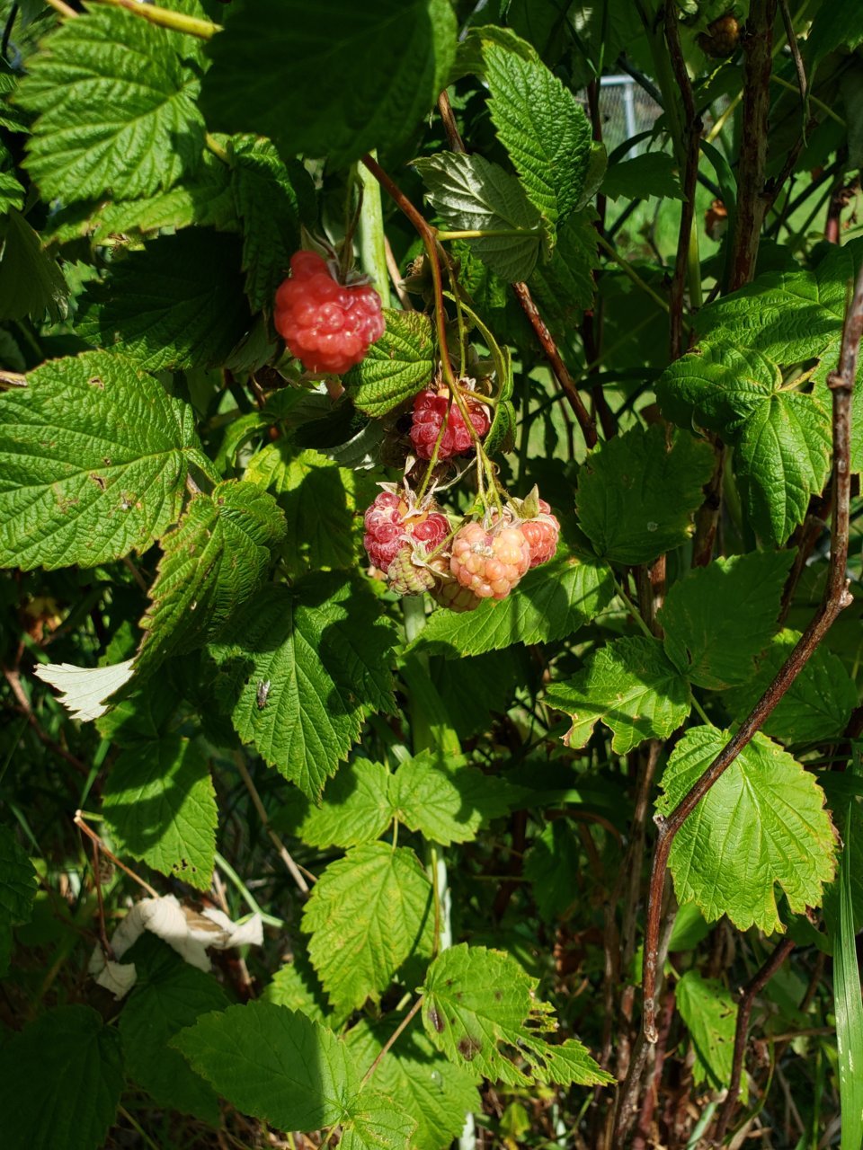 20190717_101321.jpg