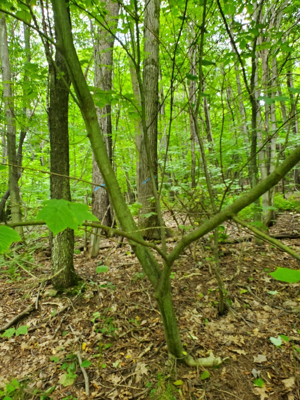 20190717_122945.jpg
