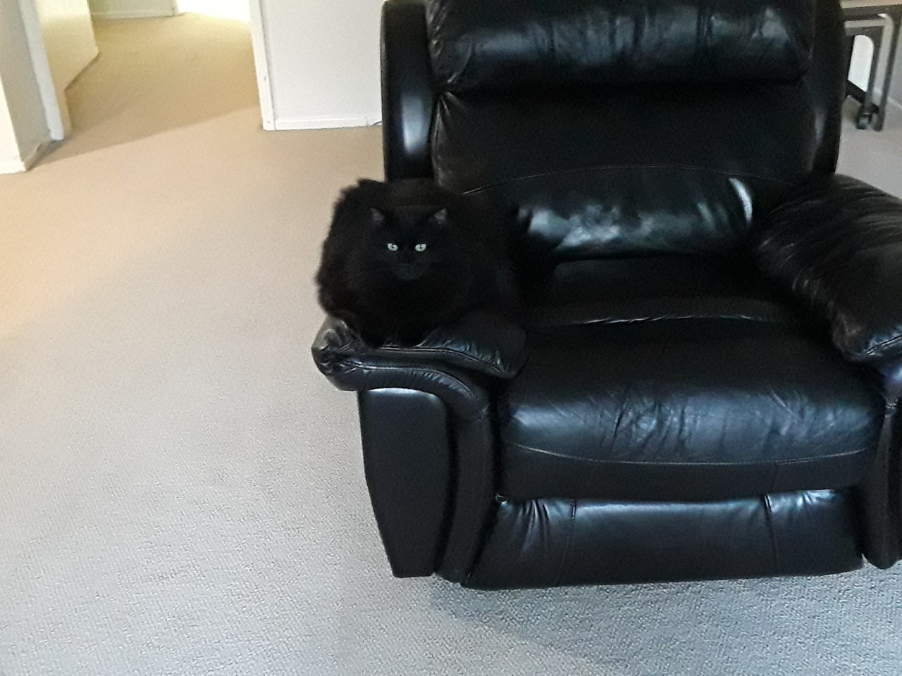 20190717_191137.jpg