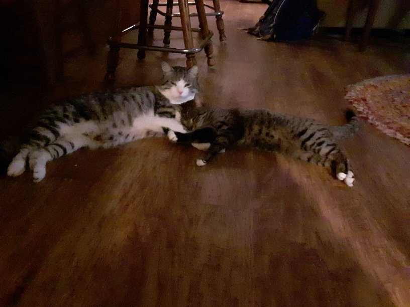 20190717_213741_resized.jpg