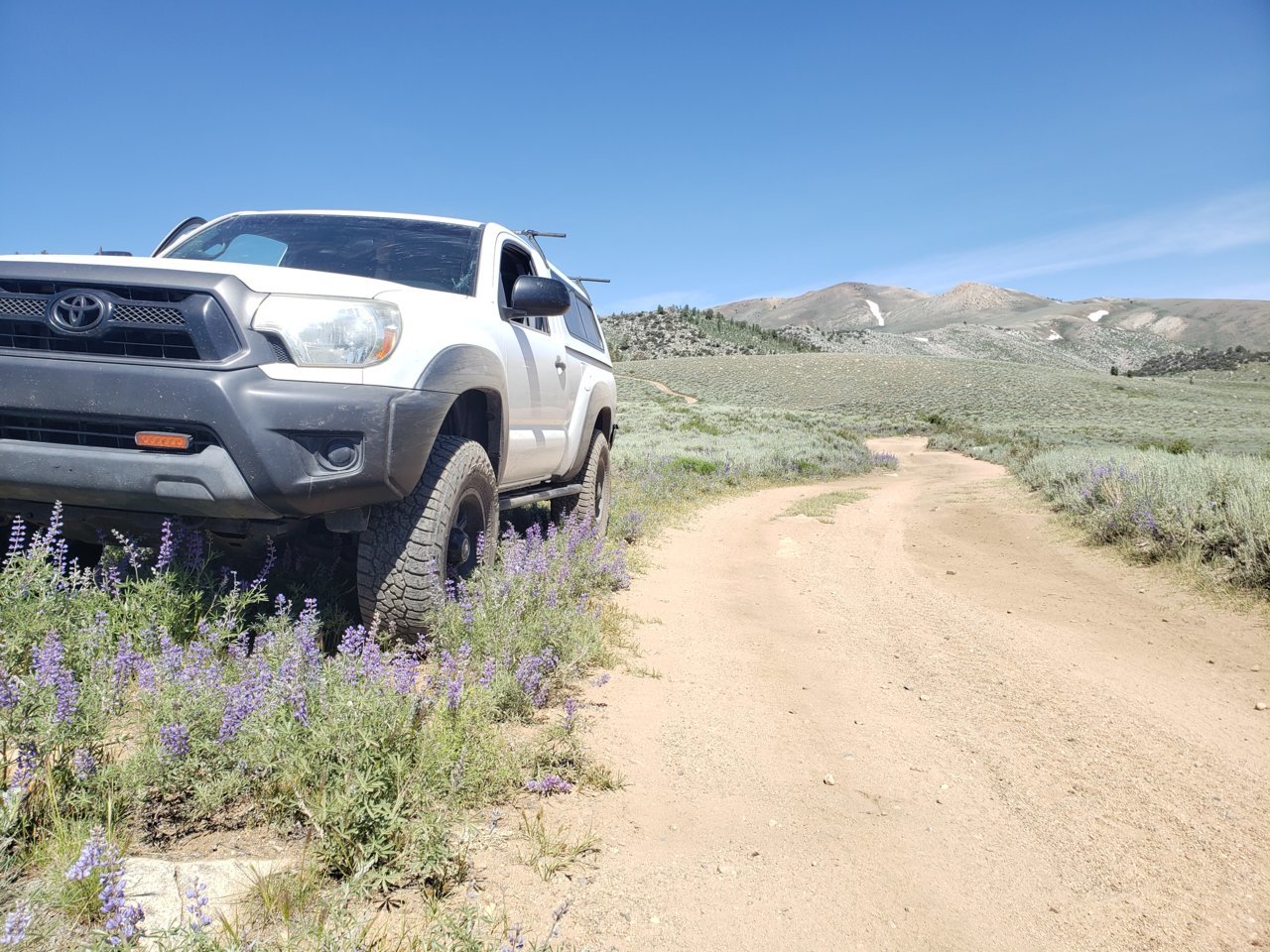20190718_103507.jpg
