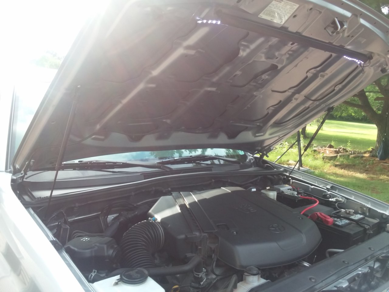 20190718_175122.jpg