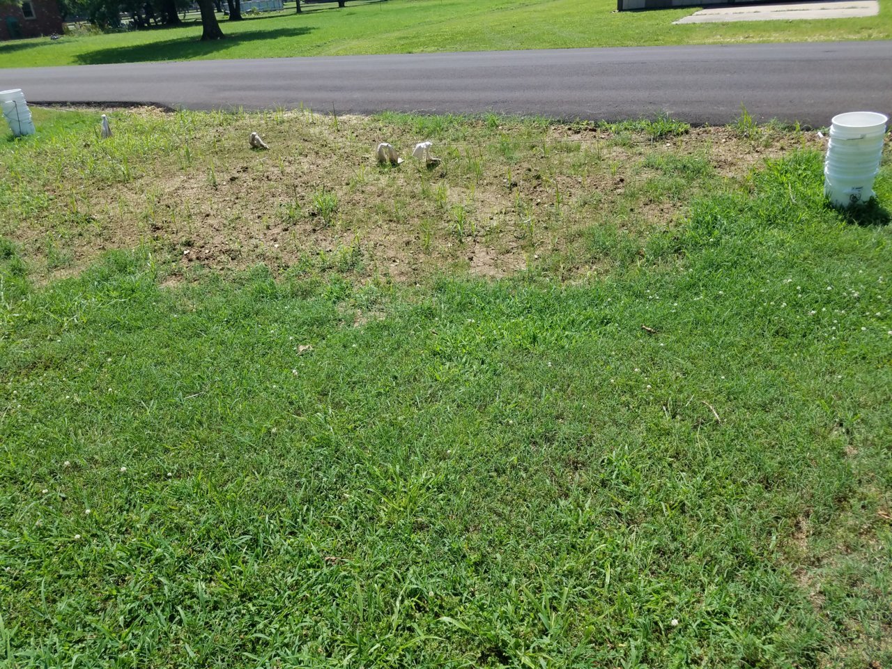 20190719_121134.jpg