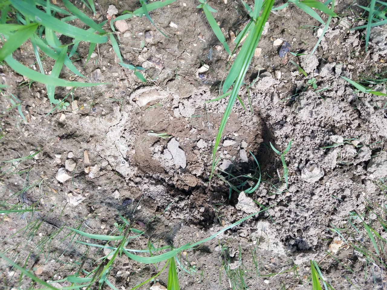 20190719_121147.jpg