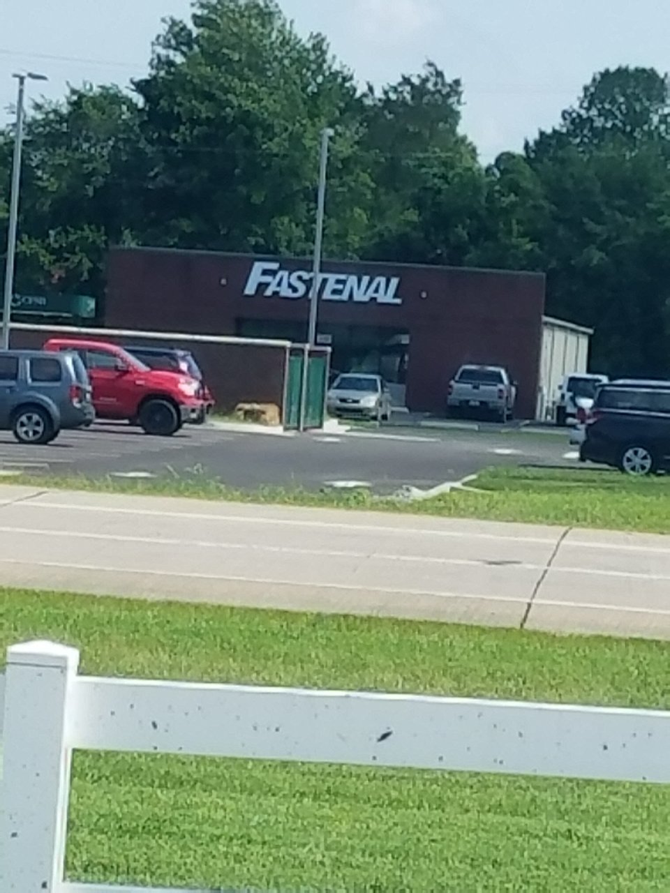 20190719_153349.jpg