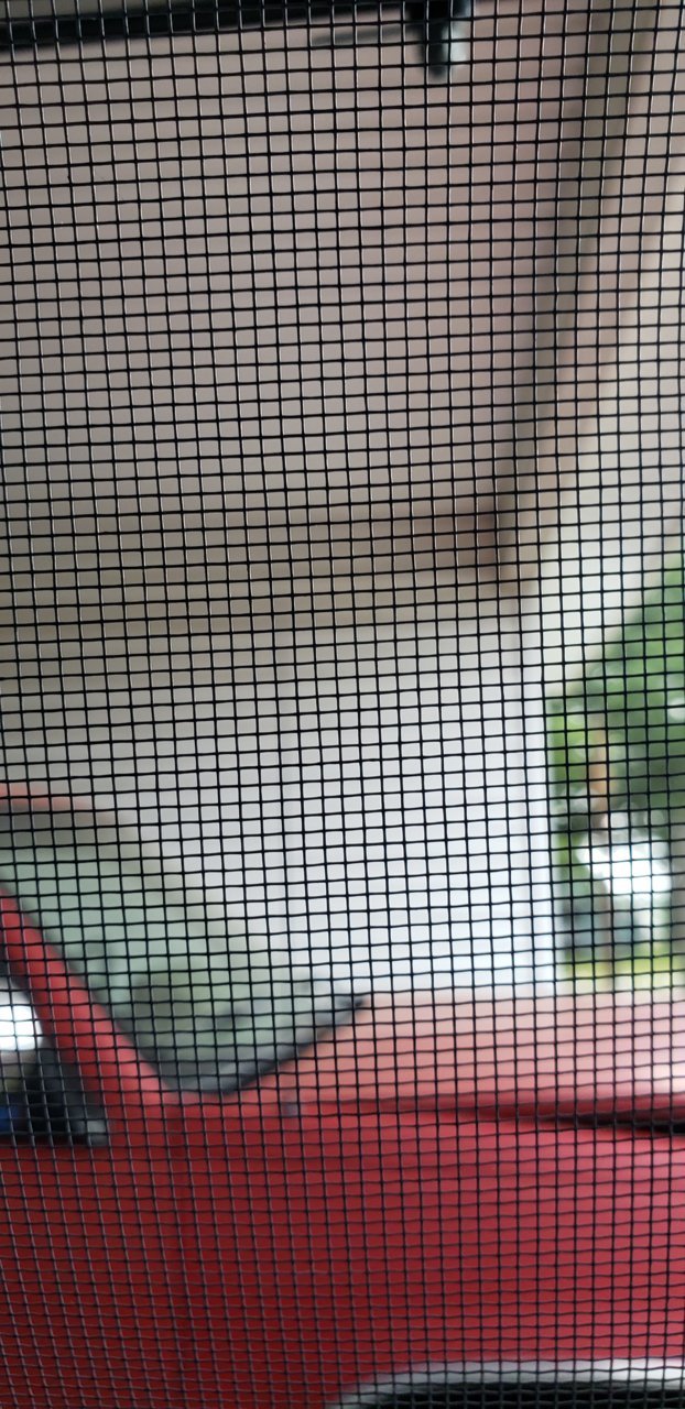 20190719_153830.jpg