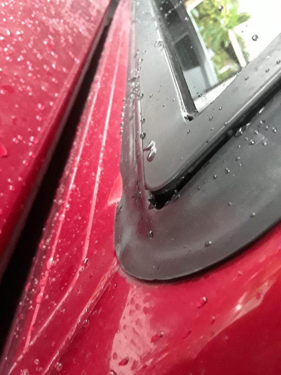 20190719_170825.jpg