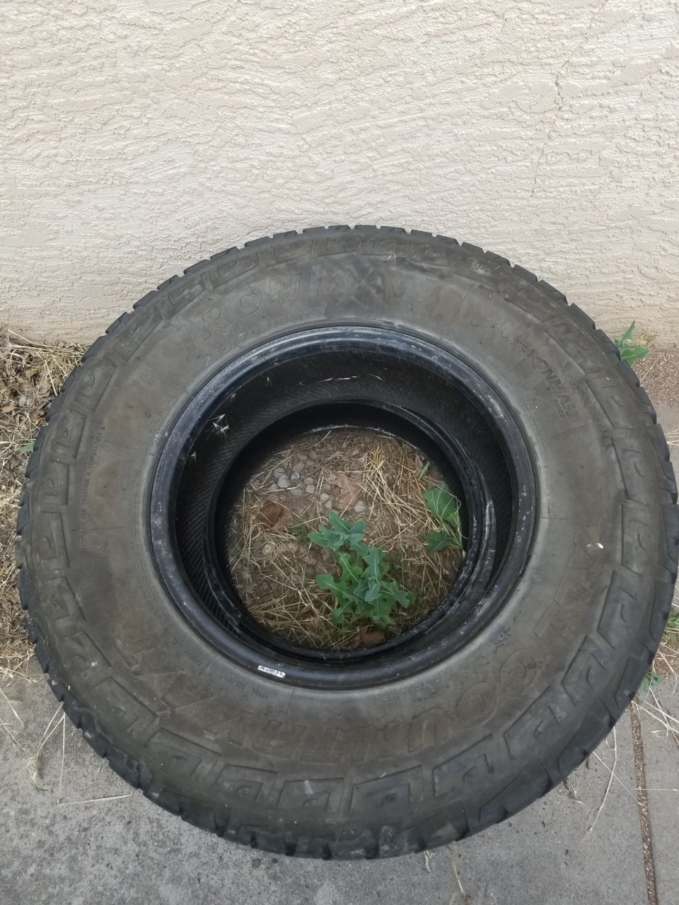 20190719_191754.jpg