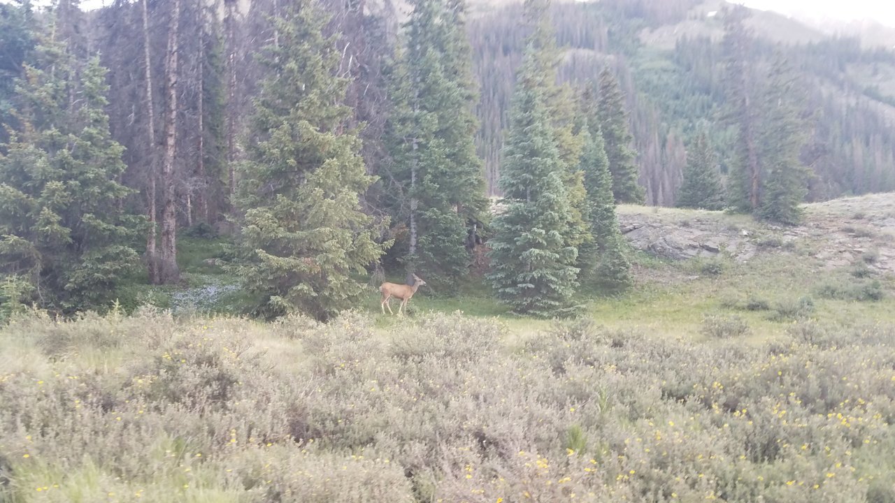 20190719_200014.jpg