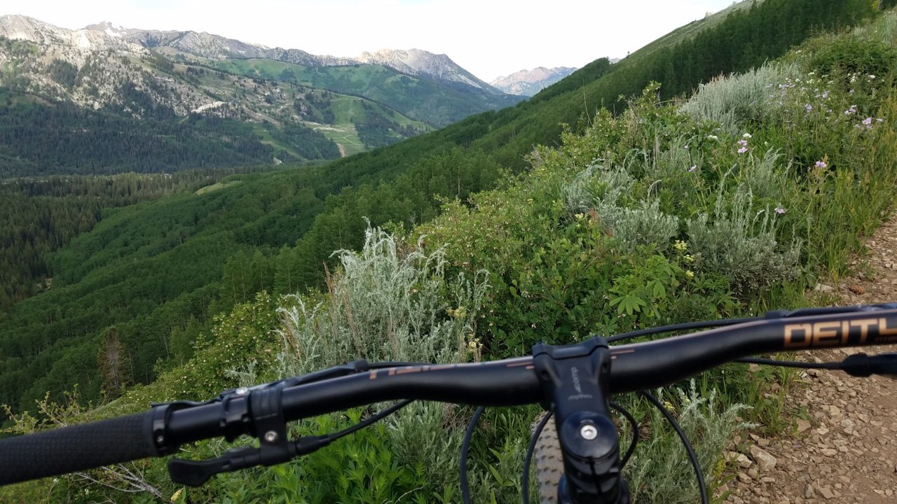 20190720_084705.jpg