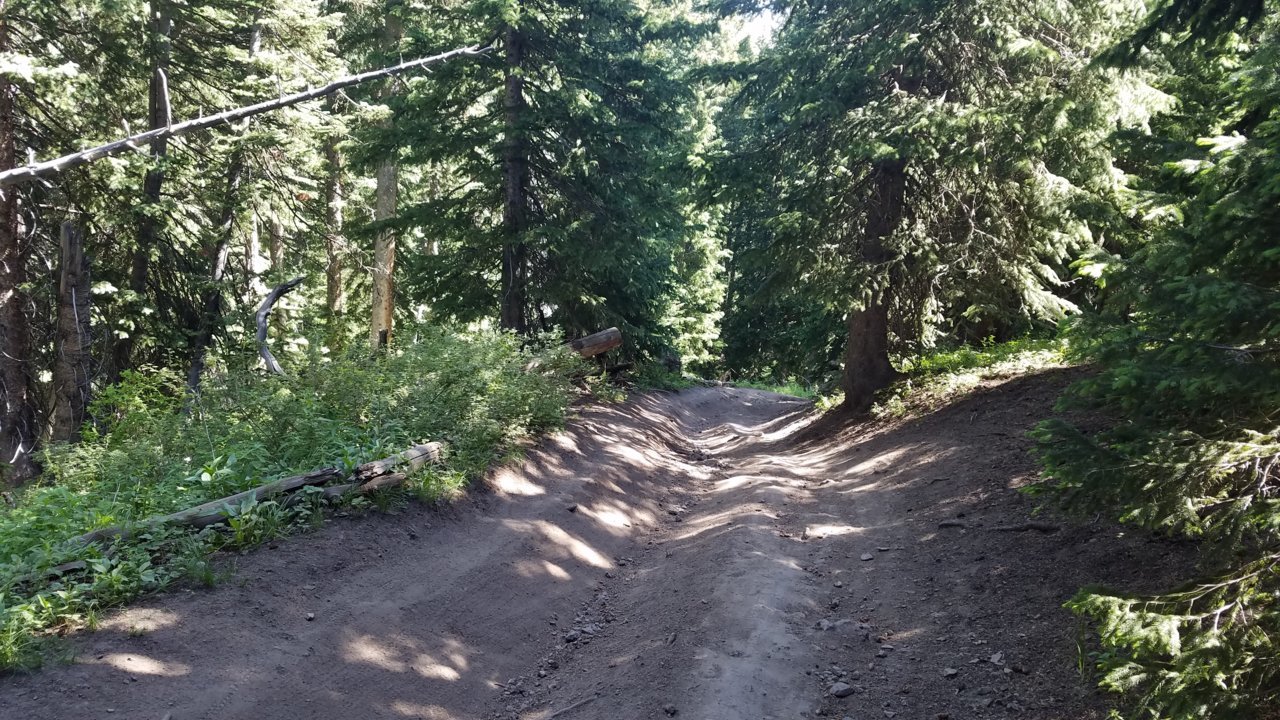 20190720_103713.jpg