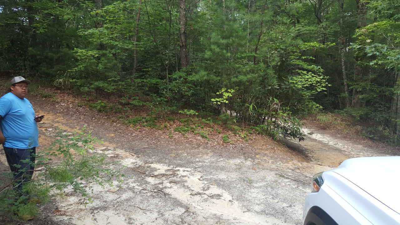 20190720_110501.jpg