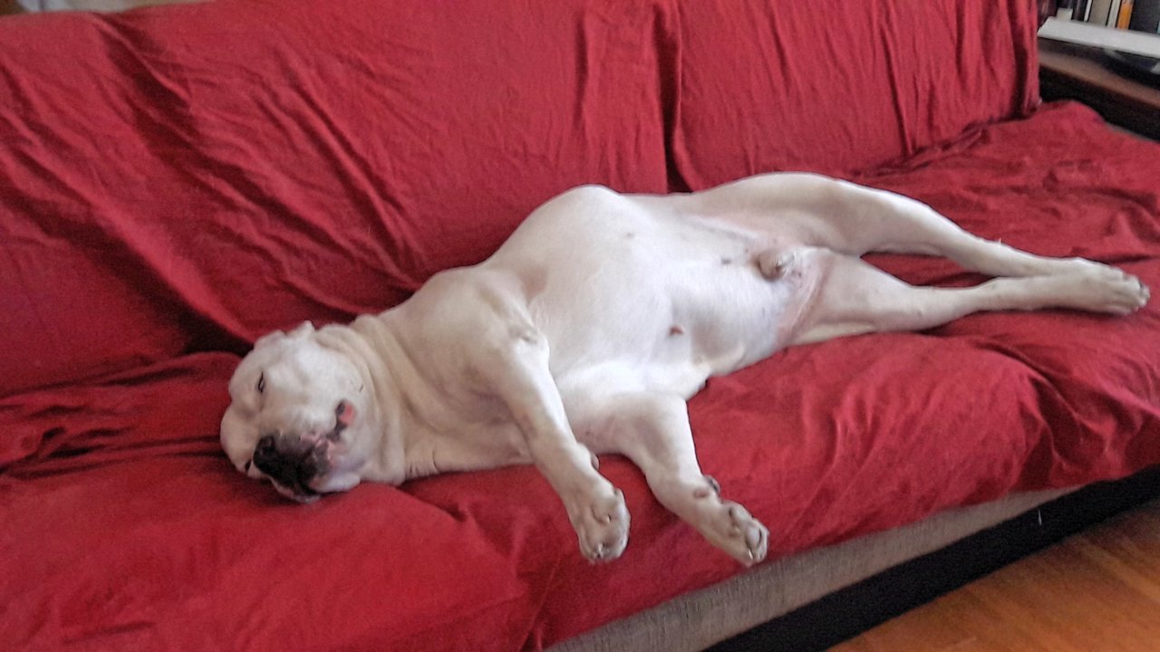 20190721_103703.jpg