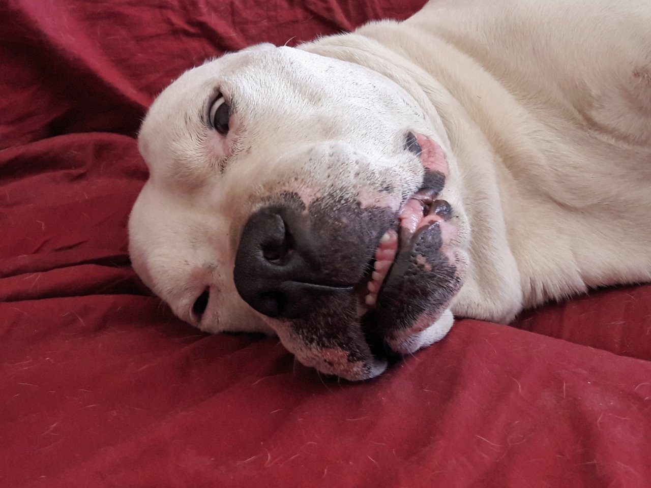 20190721_103924.jpg
