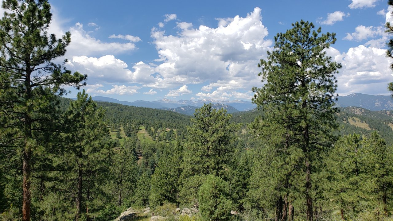 20190721_112945.jpg