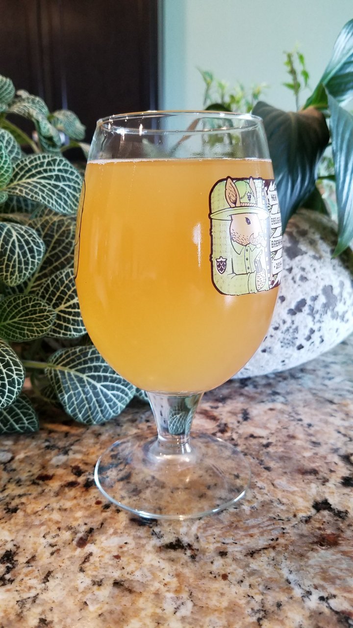 20190721_125516.jpg
