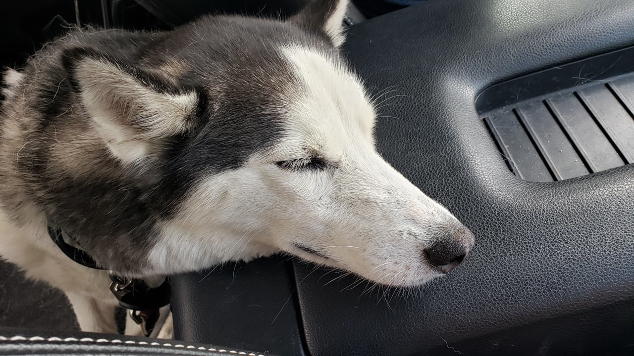 20190721_131048.jpg