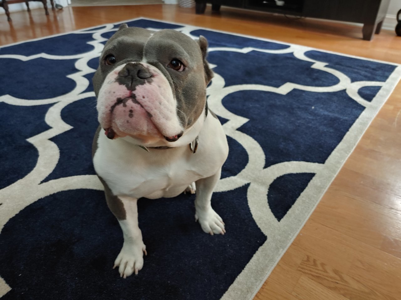20190722_090458_HDR.jpg